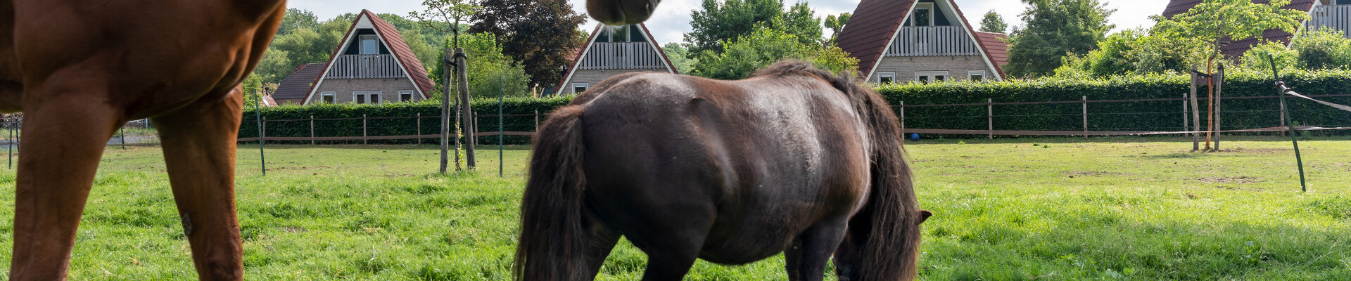 Ferienpark Molendal (Plasmolen)