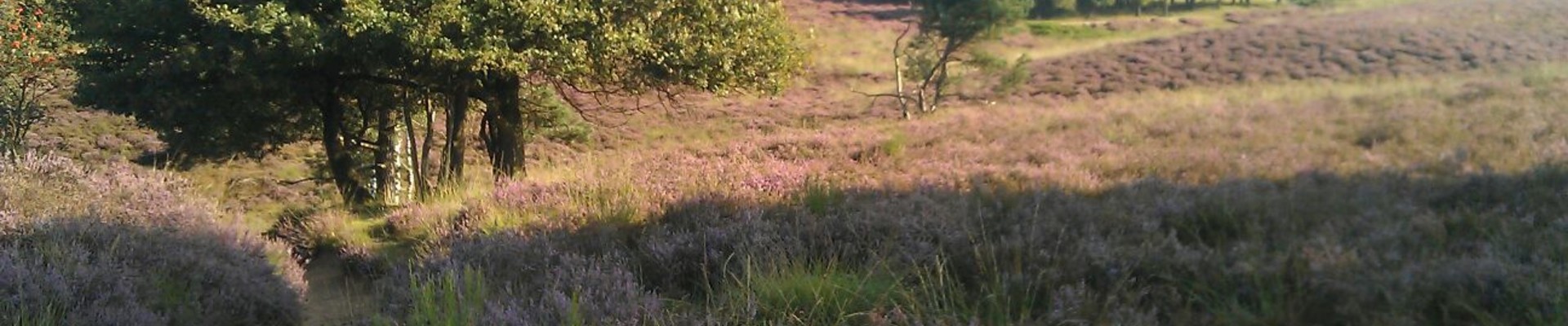 Wandelroute: Sint Jansberg