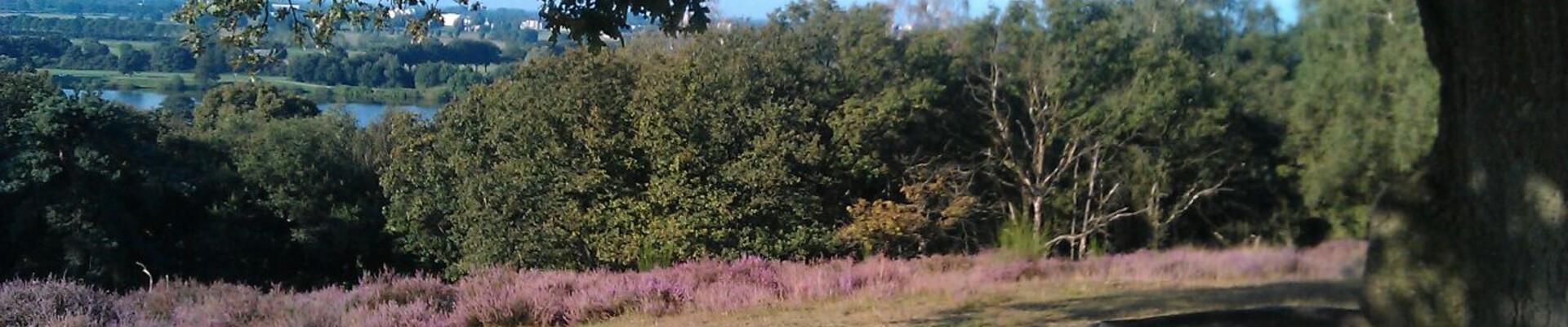 Wandelroute: Mooiste plekjes van Plasmolen en Mookerheide