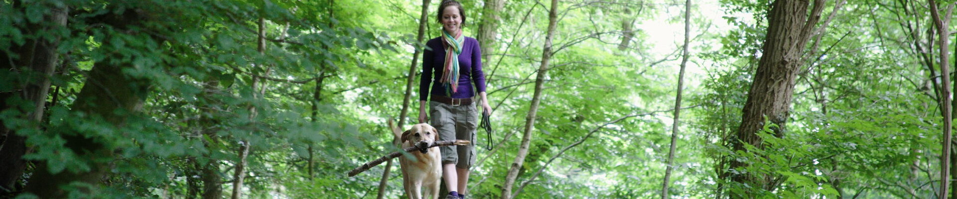 Wandelroute: Mooiste plekjes van Plasmolen en Mookerheide