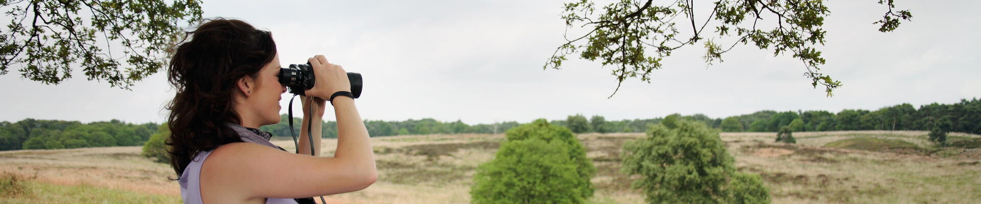 Wandelroute: Mooiste plekjes van Plasmolen en Mookerheide