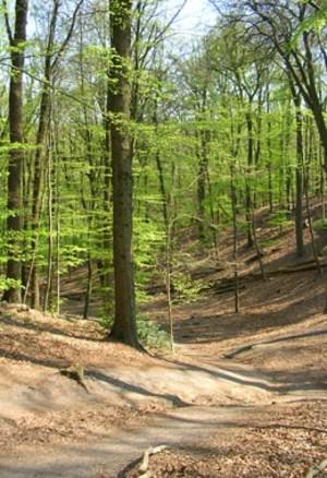 Mountainbike-Routen RIJK VAN NIJMEGEN