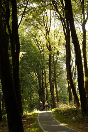 The Maasroute PLASMOLEN