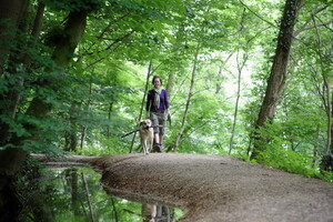 Wandelroute: Mooiste plekjes van Plasmolen en Mookerheide