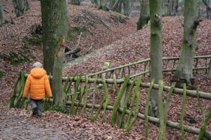 Beekjes Jansberg PLASMOLEN