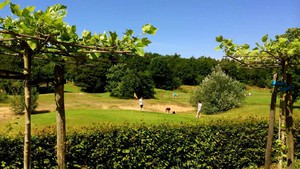 Pitch & Putt MOLENHOEK