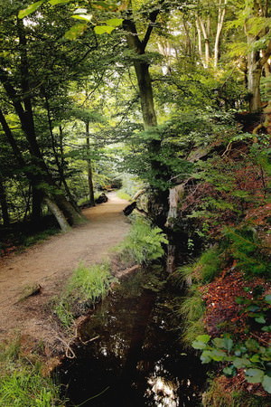 Beekjes Jansberg PLASMOLEN