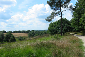 Mookerheide