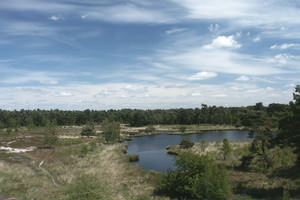 National Park The Maasduinen