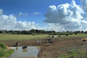 Nationalpark De Maasduinen