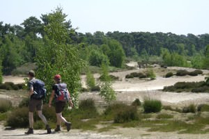 National Park The Maasduinen