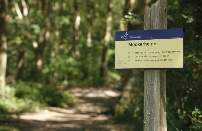 Schuttersoord mookerheide achtertuin