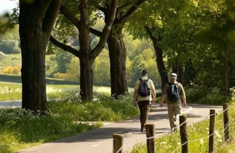 De omgeving ontdekken